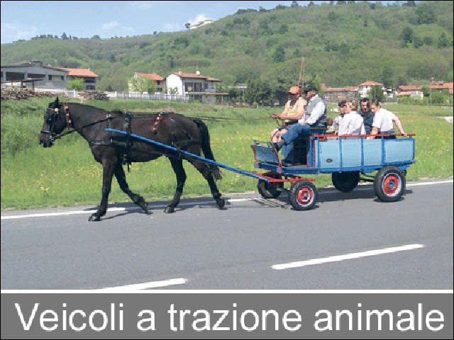 veicoli senza motore